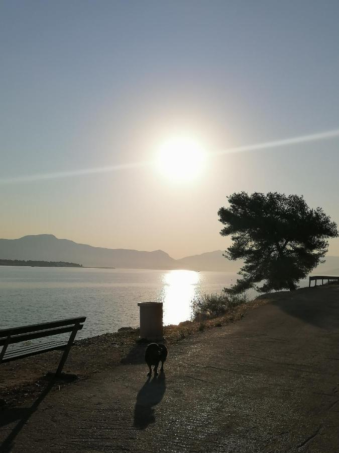 Apartmani Barnjak Trogir Eksteriør billede